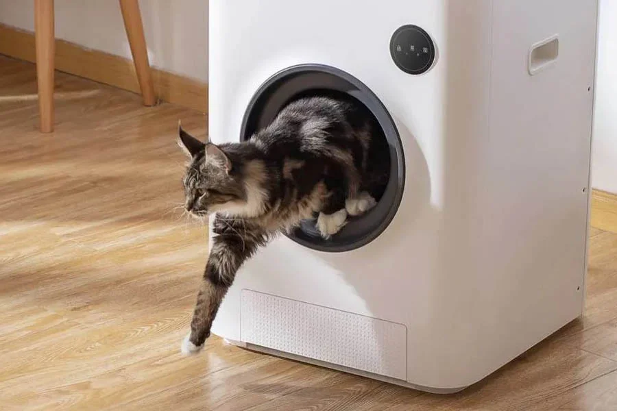 cat self cleaning litter